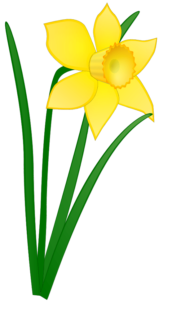 June Flowers Clip Art Clipart Library Clip Art Library
