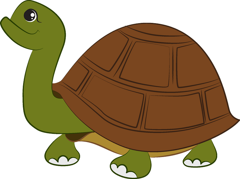 Eastern Box Turtle Sticker Clip Art Library