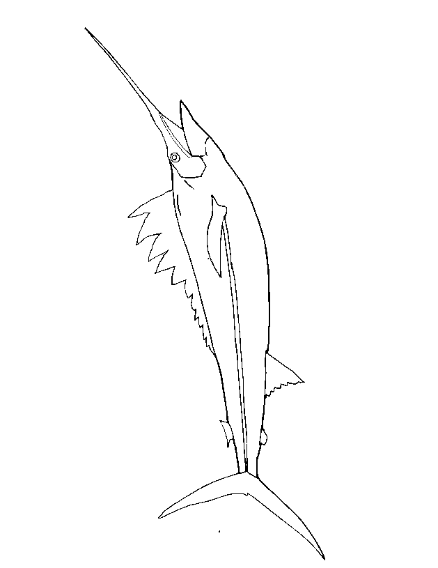 Free Swordfish Coloring Pages, Download Free Swordfish Coloring Pages png images, Free ClipArts