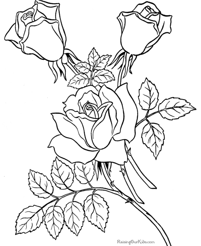 Rose Flower Coloring Pages - Clip Art Library
