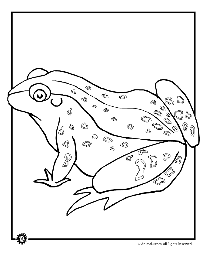 Free Frog Life Cycle Coloring Page, Download Free Frog Life Cycle