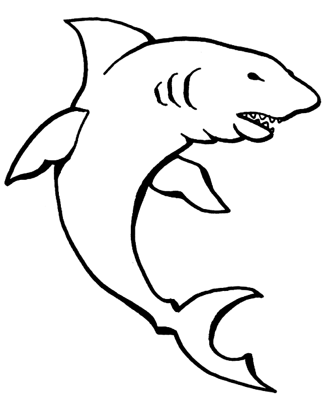 Free Pictures Of Sharks To Color, Download Free Pictures Of Sharks To