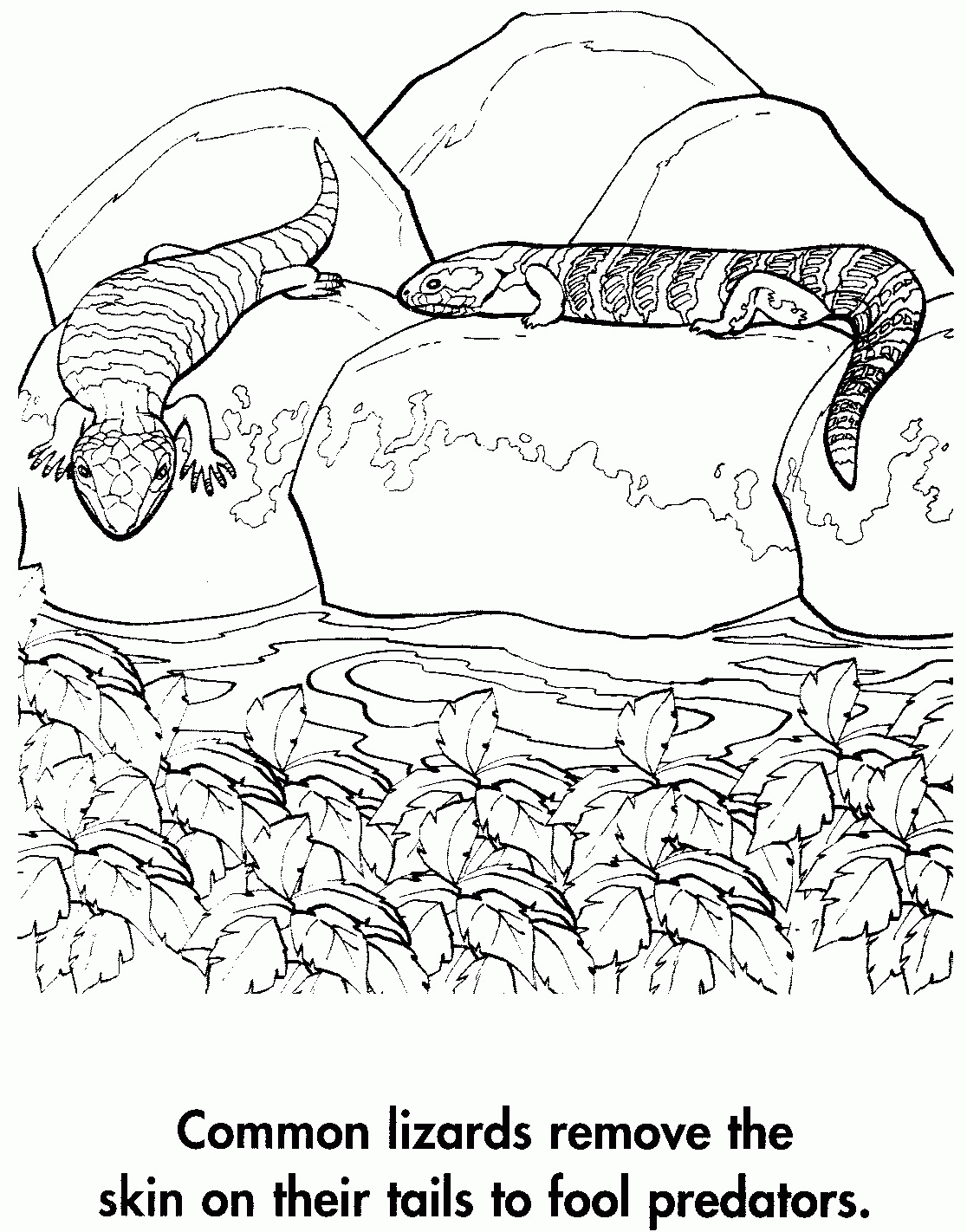 line art Clip Art Library