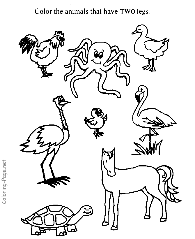 animals with different number of legs Clip Art Library