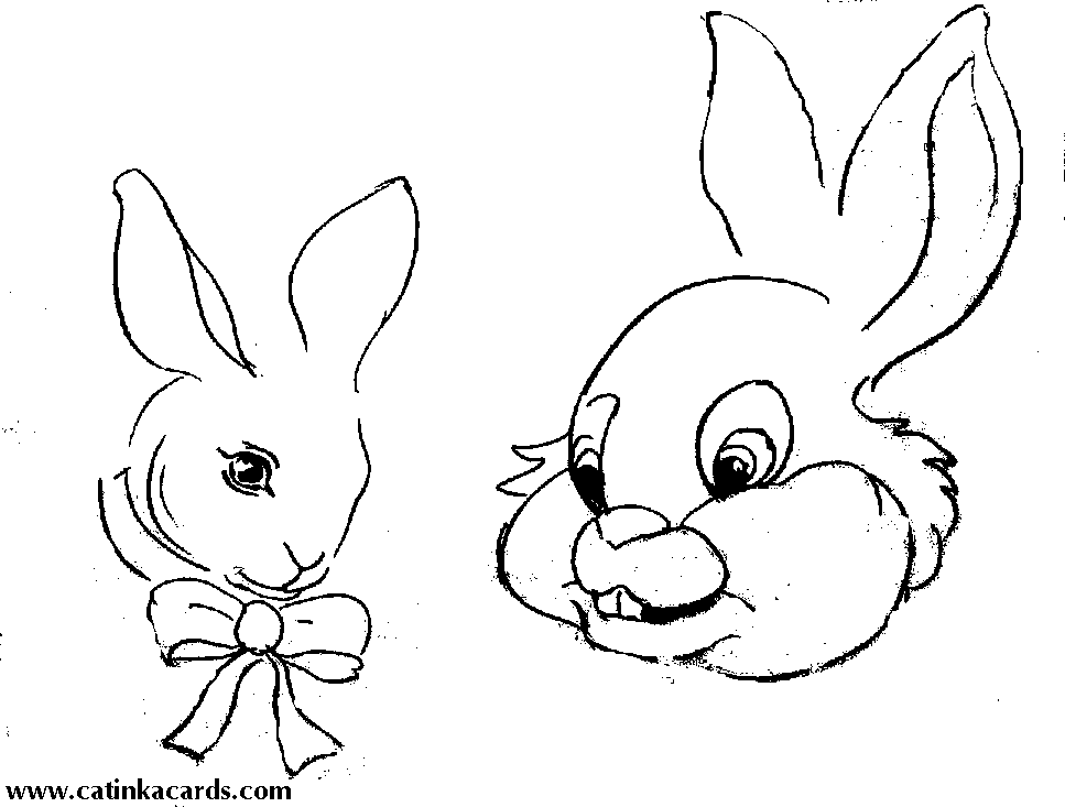 Animal Faces Coloring Pages Fun and Creative Activities for Kids