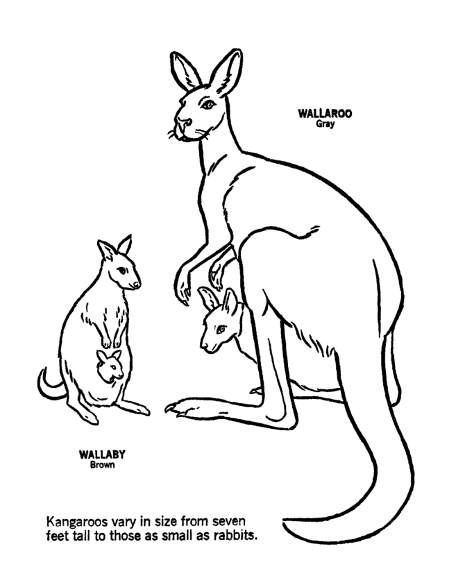 Winnie The Pooh Kanga Coloring Pages