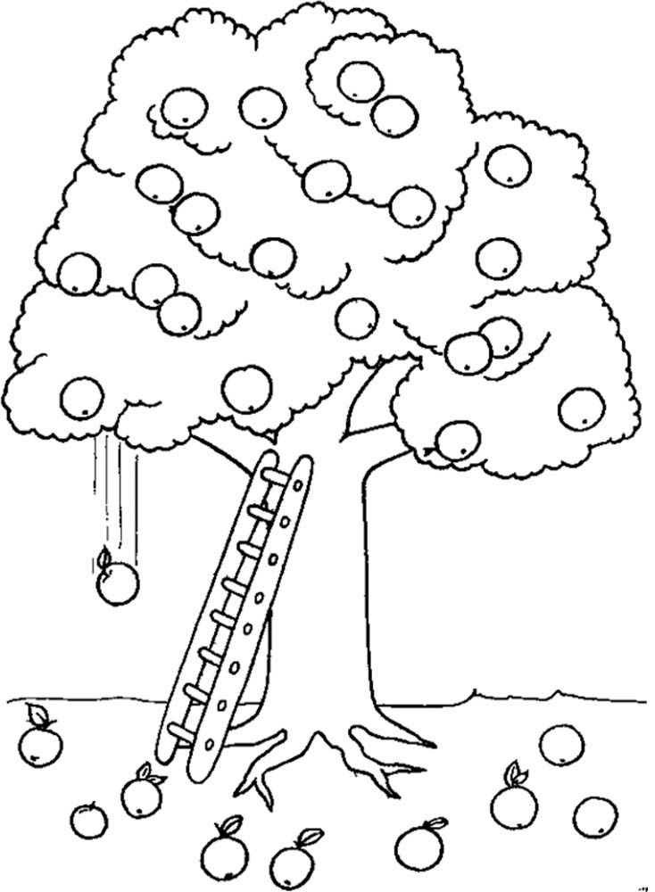 apple tree coloring page Clip Art Library