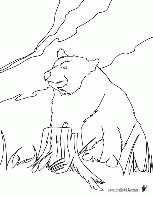 bear coloring page Clip Art Library