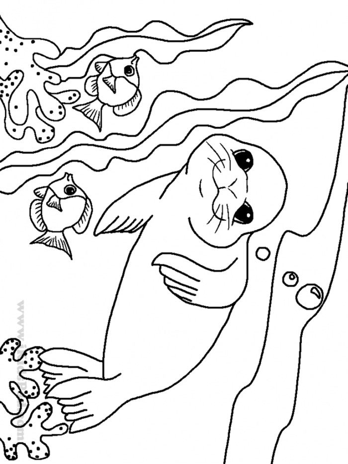 Coloring book Clip Art Library