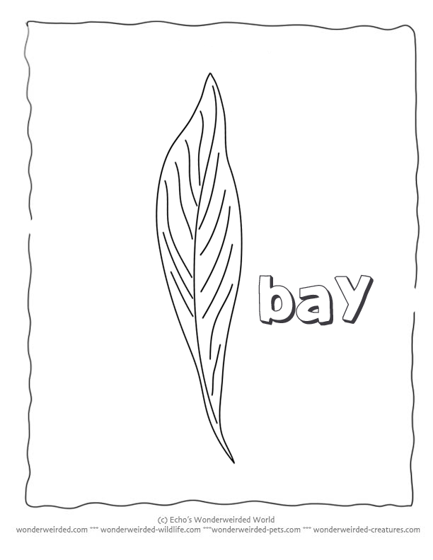 Free Leaves To Color And Cut Out, Download Free Leaves To Color And Cut