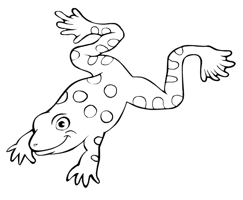 frog pictures to colour 601402