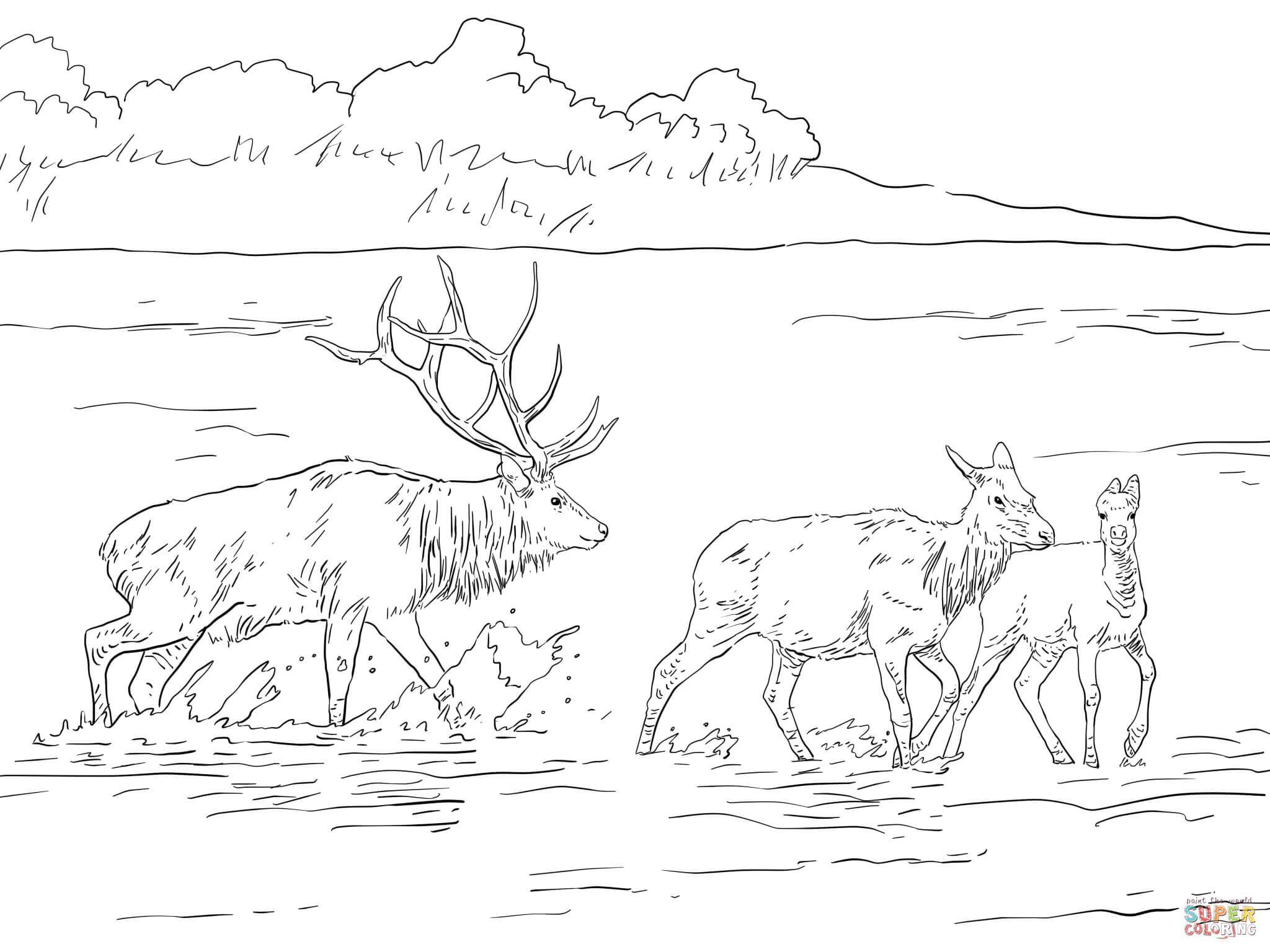 Mule Deer Coloring Pages
