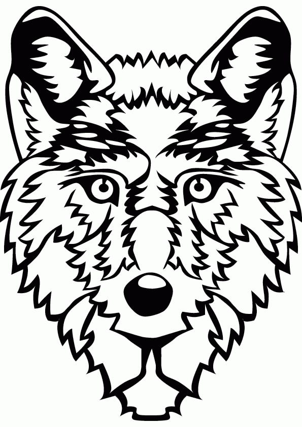 Wolf Face Coloring Page Printable Coloring Sheet for Kids
