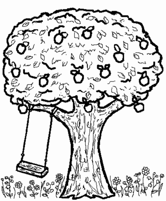 Apple Tree Pictures to Color Fun and Educational Coloring Pages