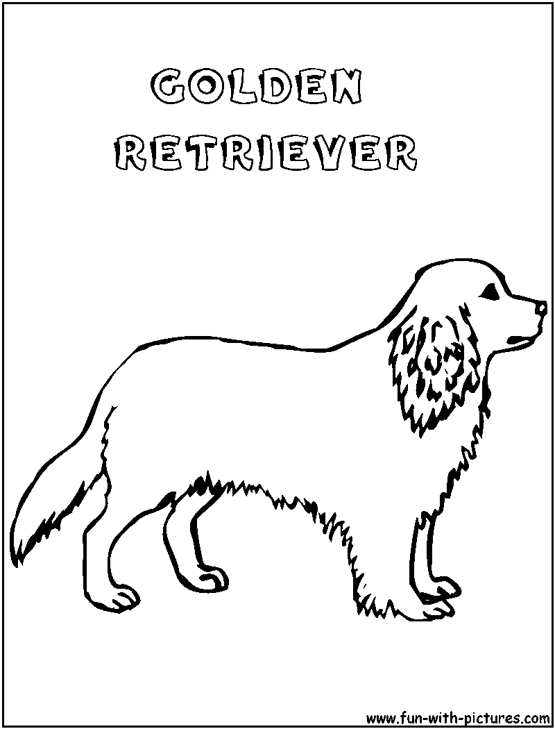 Free Golden Retriever Puppy Coloring Pages Printable, Download Free