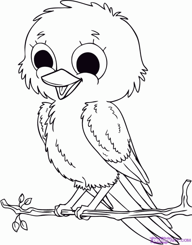 Baby Bird Coloring Pages Engaging and Fun Activity for Your Little Ones
