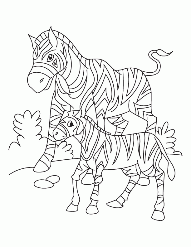 zebra coloring pages 493615