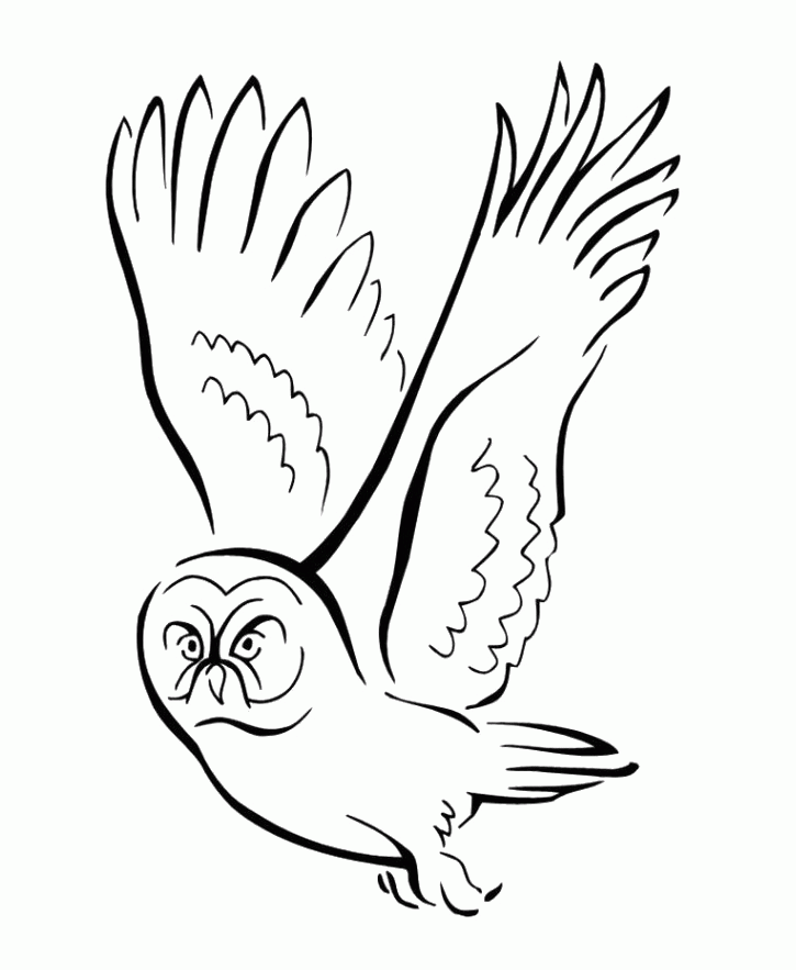 free bird coloring pages Clip Art Library
