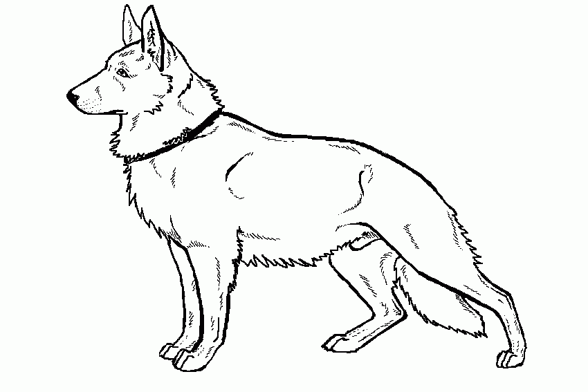 Realistic German Shepherd Coloring Pages Coloring Pages