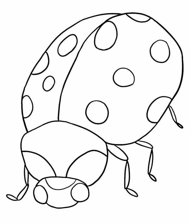 Free Cute Ladybug Coloring Pages, Download Free Cute Ladybug Coloring