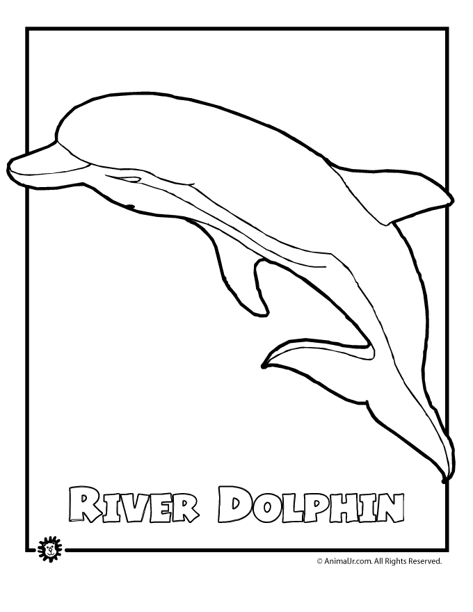 Free Dolphin Colouring Pictures, Download Free Dolphin Colouring