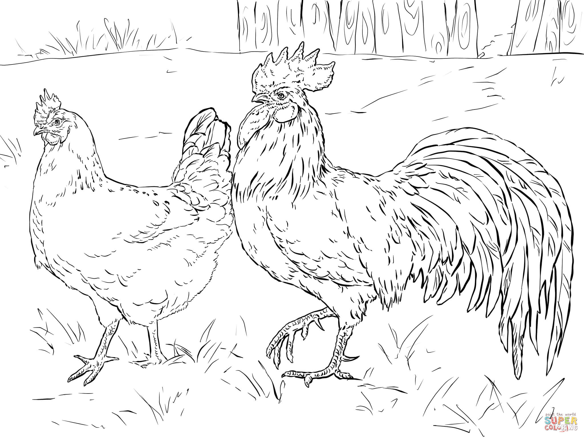 Free Coloring Page Of A Chicken, Download Free Coloring Page Of A
