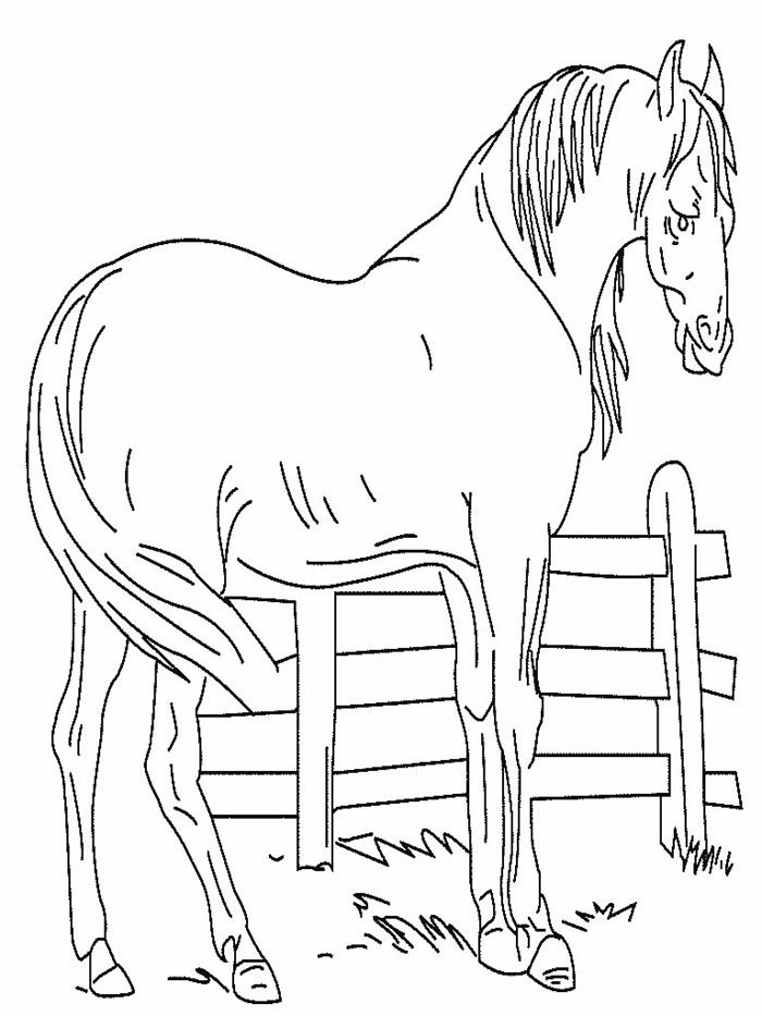 Free Horse Coloring Games, Download Free Horse Coloring Games png
