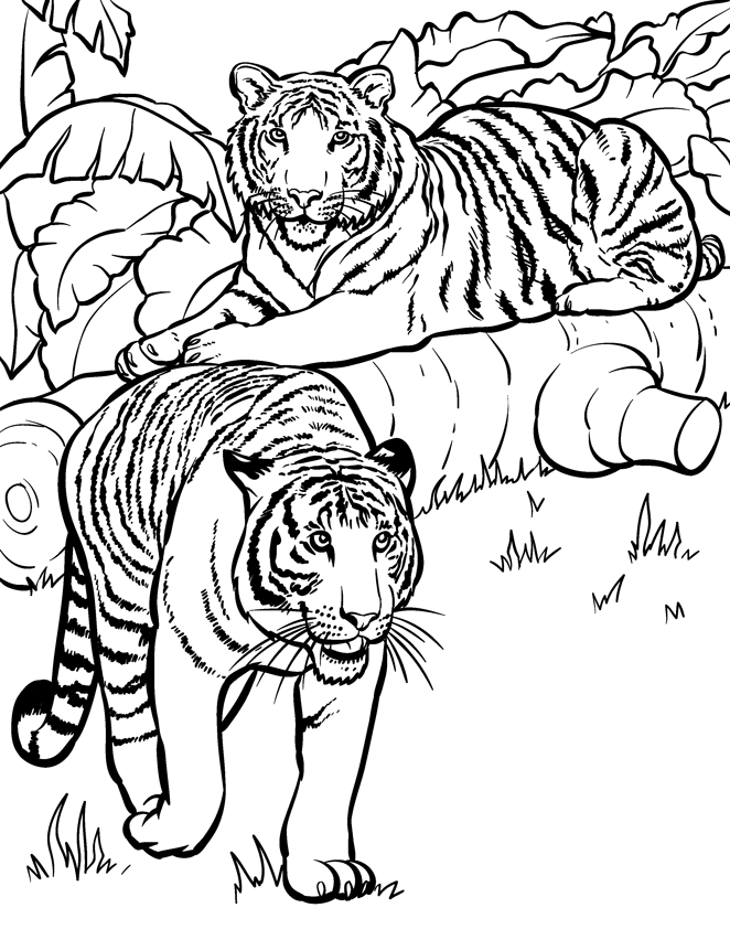 Free Difficult Animal Coloring Pages, Download Free Difficult Animal