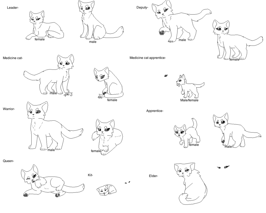 Warrior Cat Coloring Pages to Print Free Printable Warrior Cat