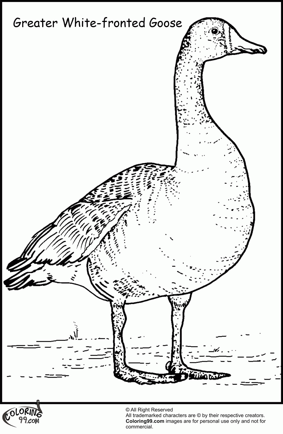 Baby Goose Coloring Page Adorable Designs for Your Little Ones to Color