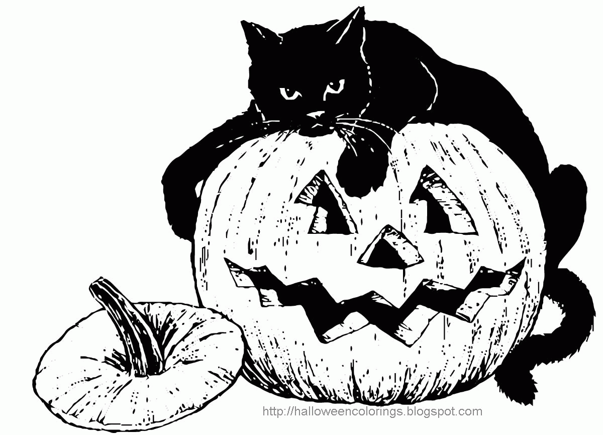 halloween black cats drawings Clip Art Library