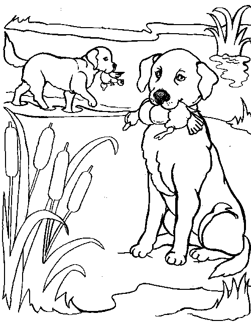 Free Realistic Puppy Coloring Pages, Download Free Realistic Puppy