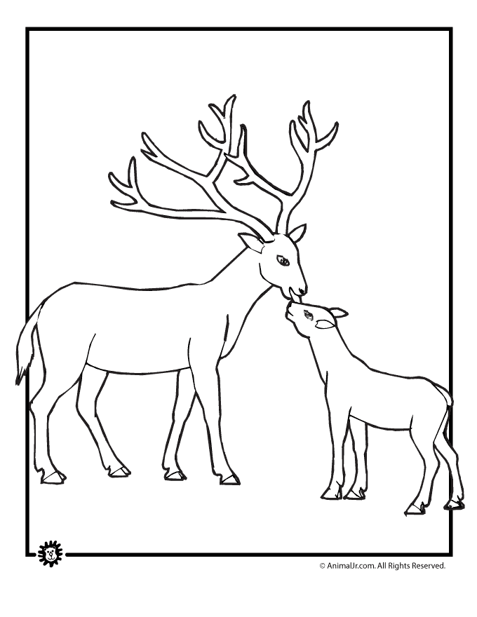 Free Buck And Doe Coloring Pages, Download Free Buck And Doe Coloring