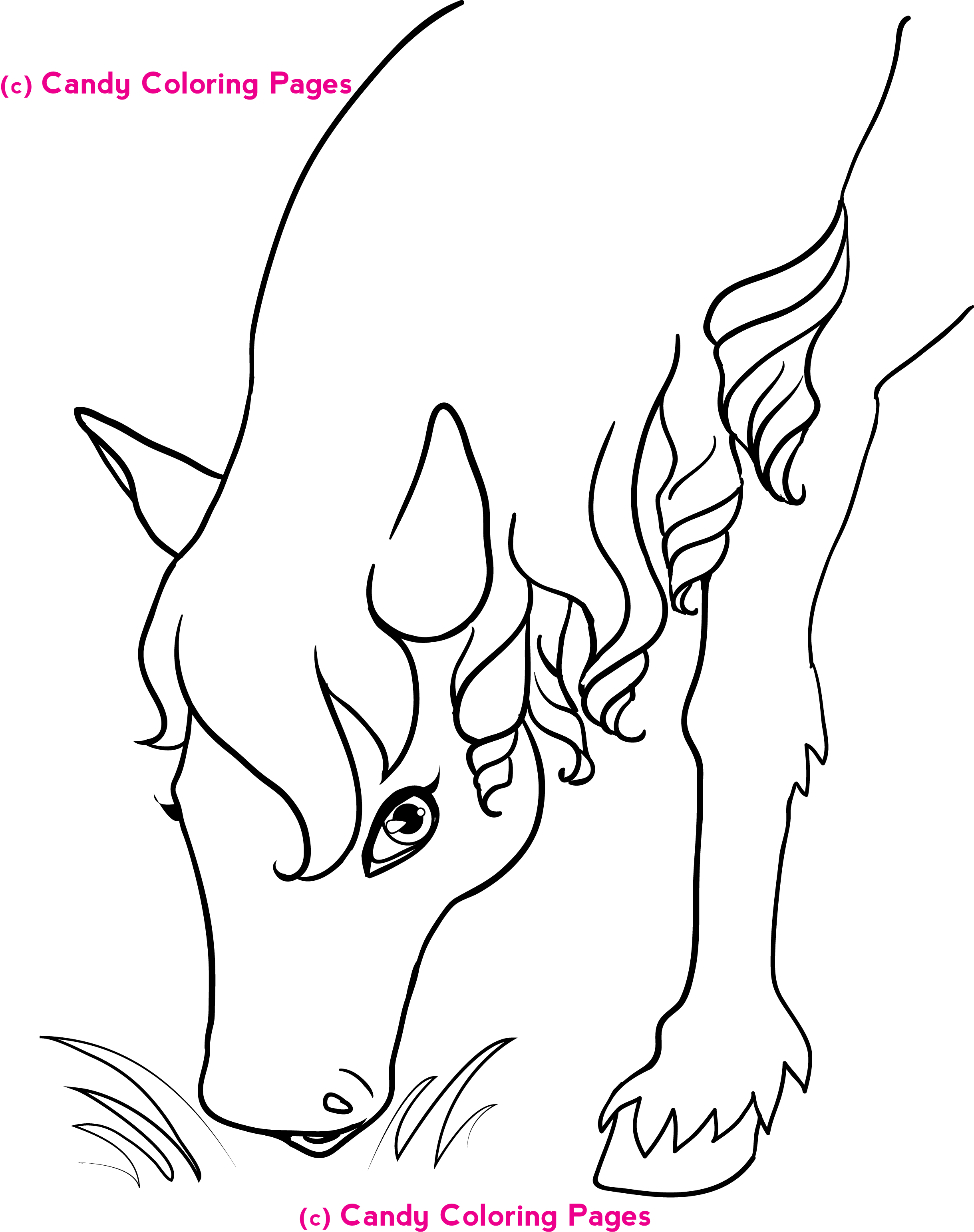 Free Animal Coloring Pages For Teens, Download Free Animal Coloring