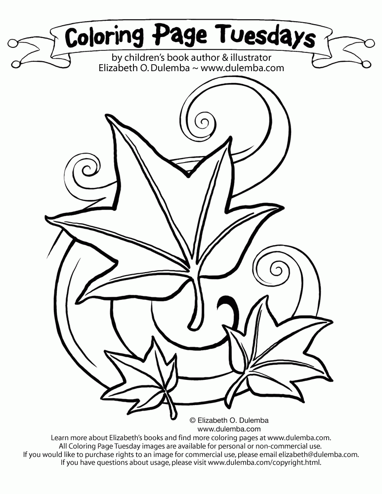 Free Fall Coloring Book, Download Free Fall Coloring Book png images