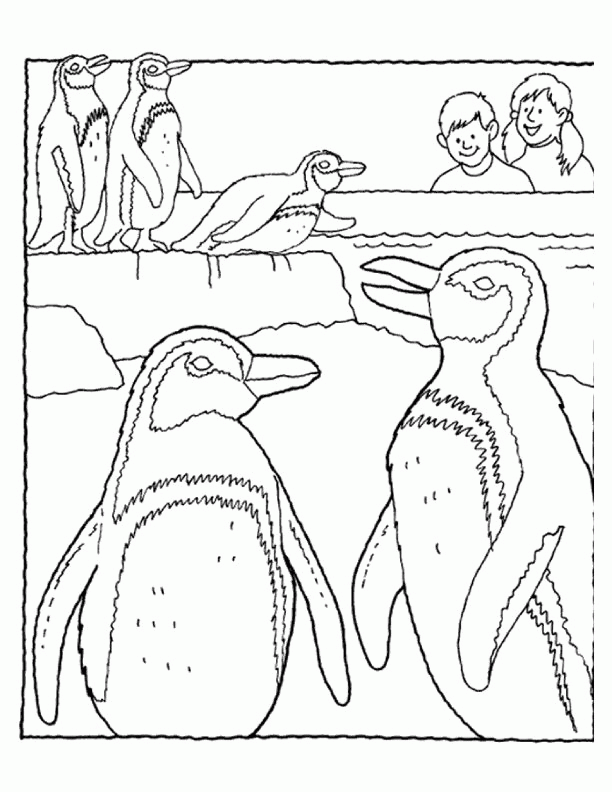 Baby Penguin Coloring Pages Free Printable Coloring Sheets