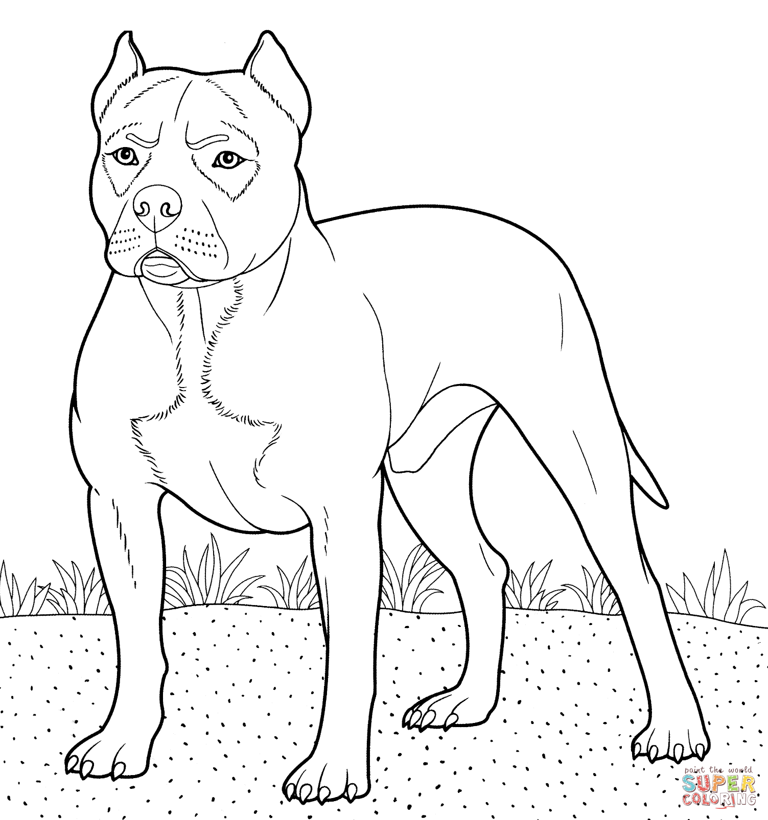 Free Pitbull Dog Coloring Pages, Download Free Pitbull Dog Coloring