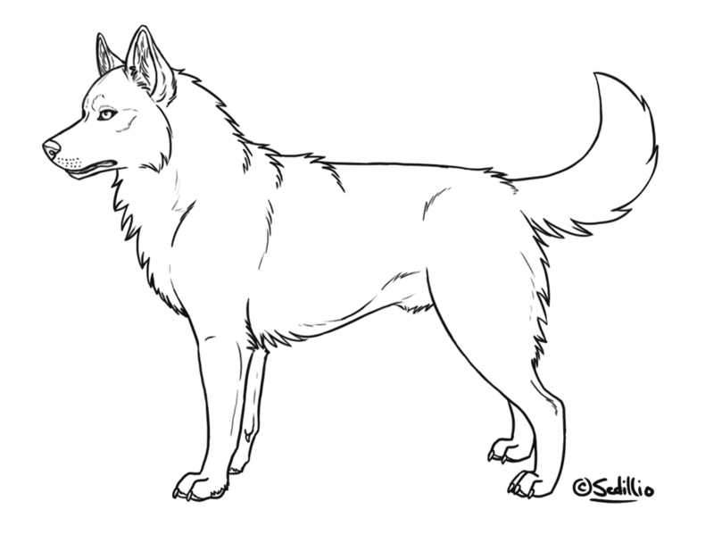 Free Siberian Husky Coloring Pages, Download Free Siberian Husky