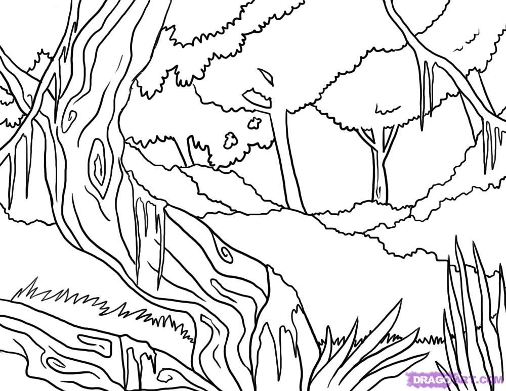Rainforest Coloring Page Rainforest Alliance