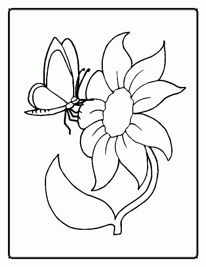 Free Parts Of A Flower Coloring Page, Download Free Parts Of A Flower
