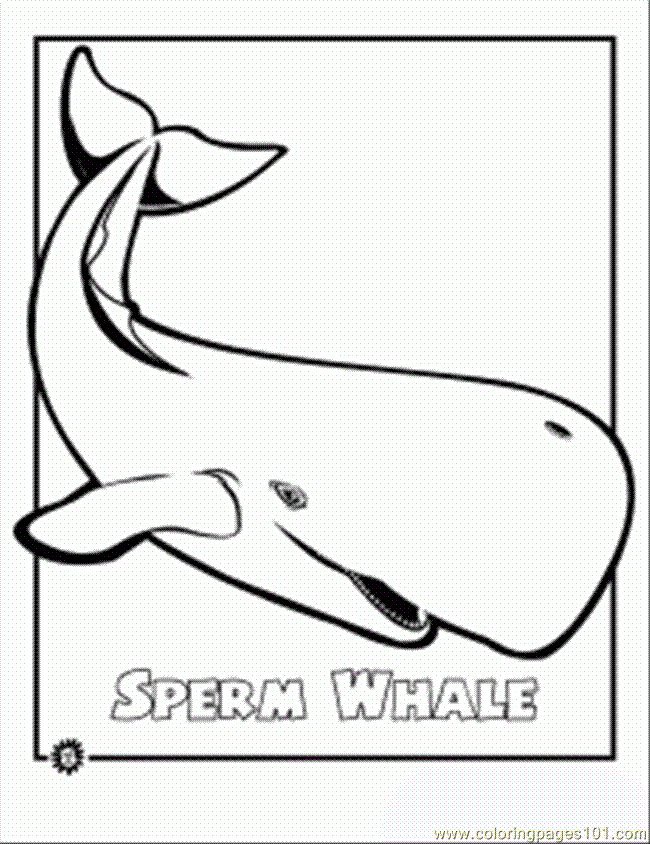 Whale Shark Coloring Pages