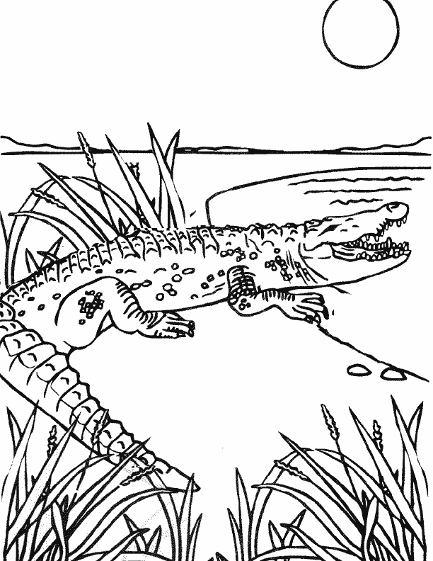 Free Sea Monsters Coloring Pages, Download Free Sea Monsters Coloring