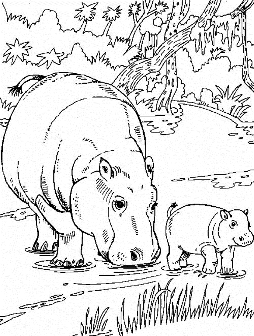 Free Coloring Page African Animals, Download Free Coloring Page African