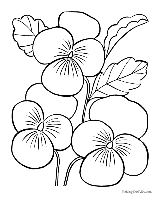 flowers pictures for colouring Clip Art Library