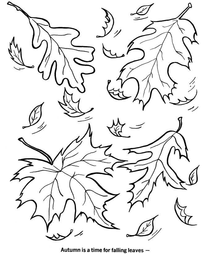 fall coloring Clip Art Library