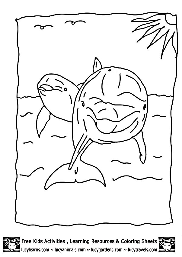Free Dolphin Colouring Pictures, Download Free Dolphin Colouring