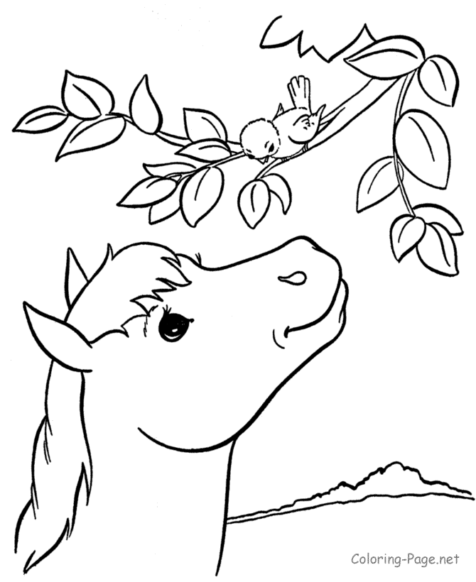 Free Horse And Pony Coloring Pages, Download Free Horse And Pony
