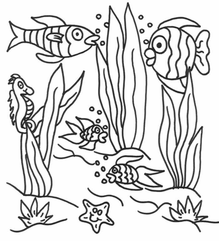Free Printable Ocean Coloring Pages For Kids Pinterest