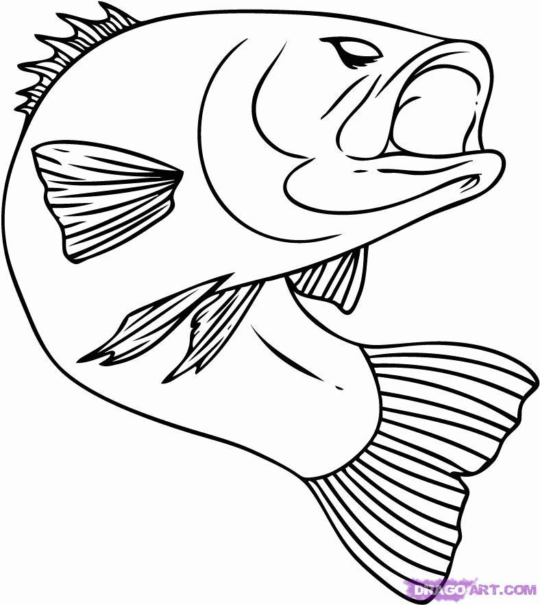 Bass Fishing Coloring Pages