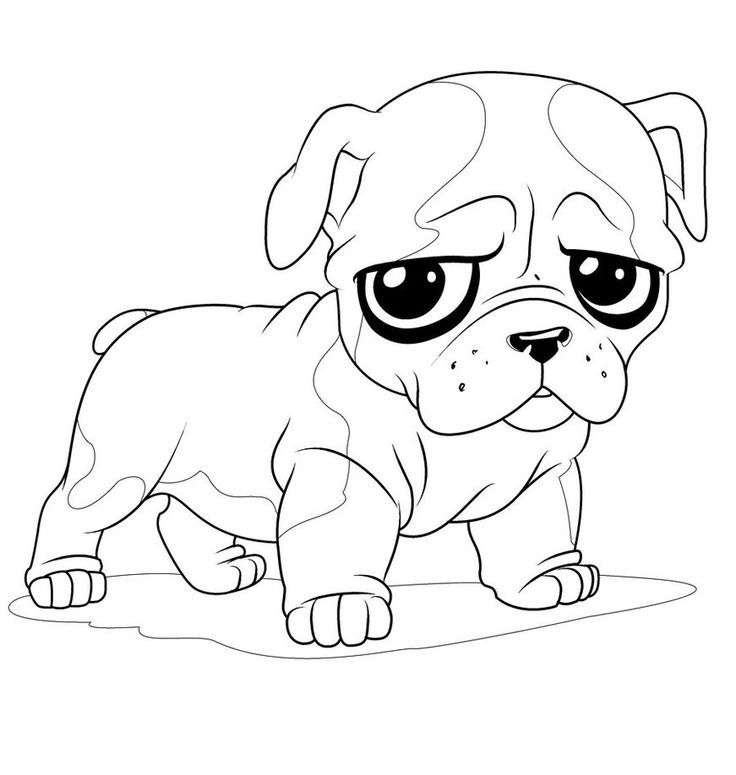 free printable pug coloring page Clip Art Library